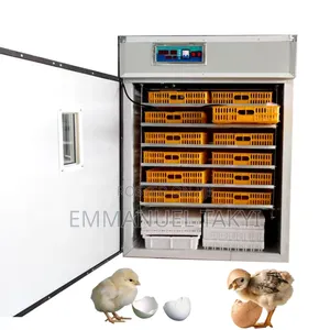 Egg Incubator