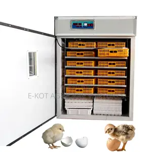 Egg Incubator