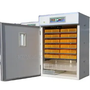 Egg Incubator