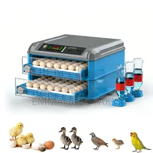 Egg Incubator