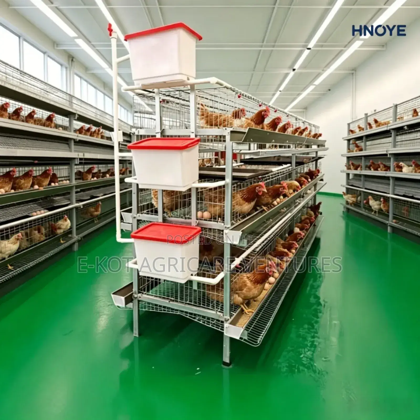 Chicken Cage H-Type 3-Tier