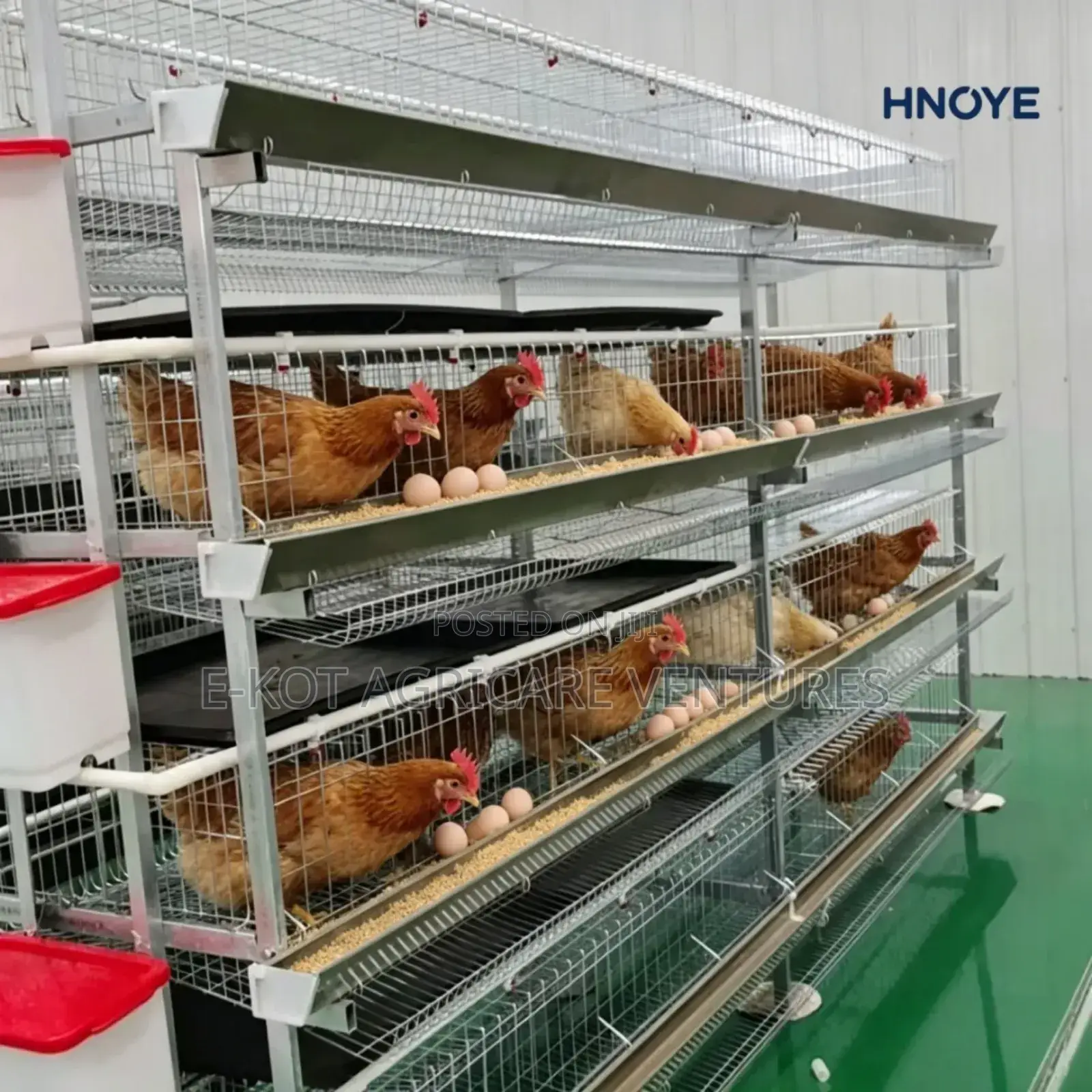 Chicken Cage H-Type 3-Tier