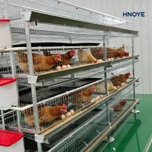 Chicken Cage H-Type 3-Tier
