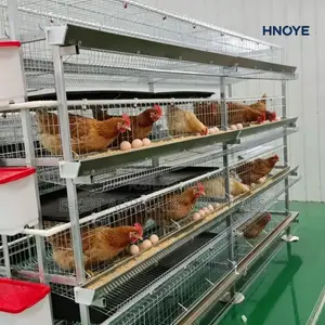 Chicken Cage H-Type 3-Tier