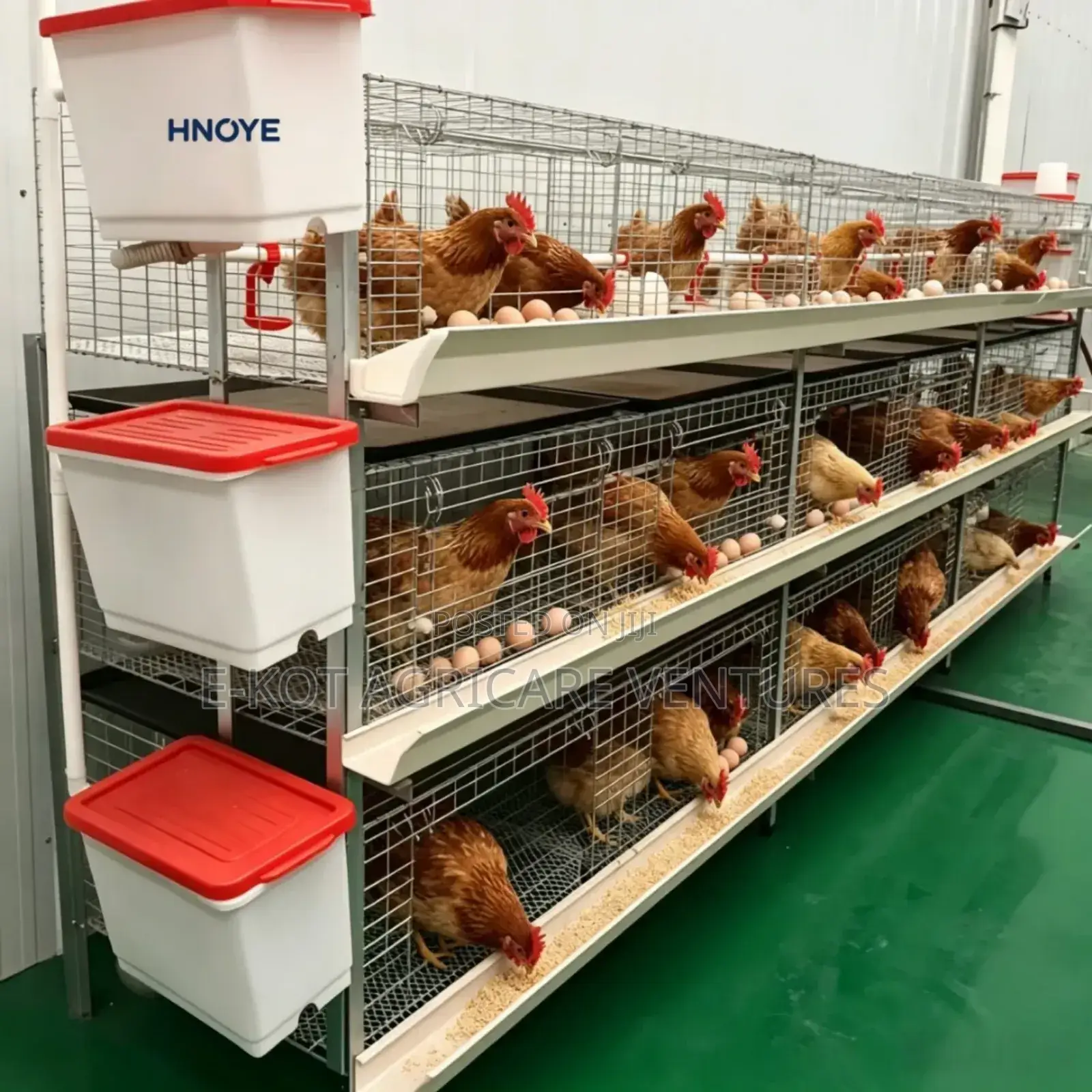 Chicken Cage H-Type 3-Tier