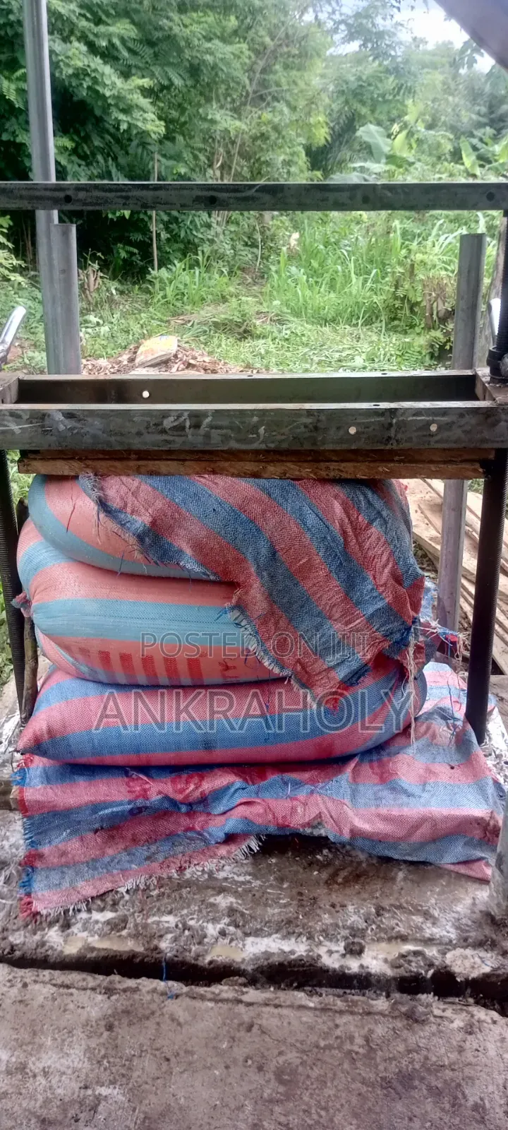 Tasty Gari for Sale