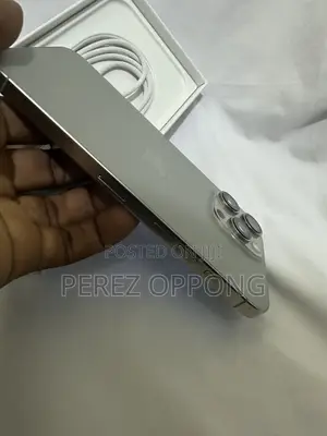Apple iPhone 16 Pro Max 256 GB Silver