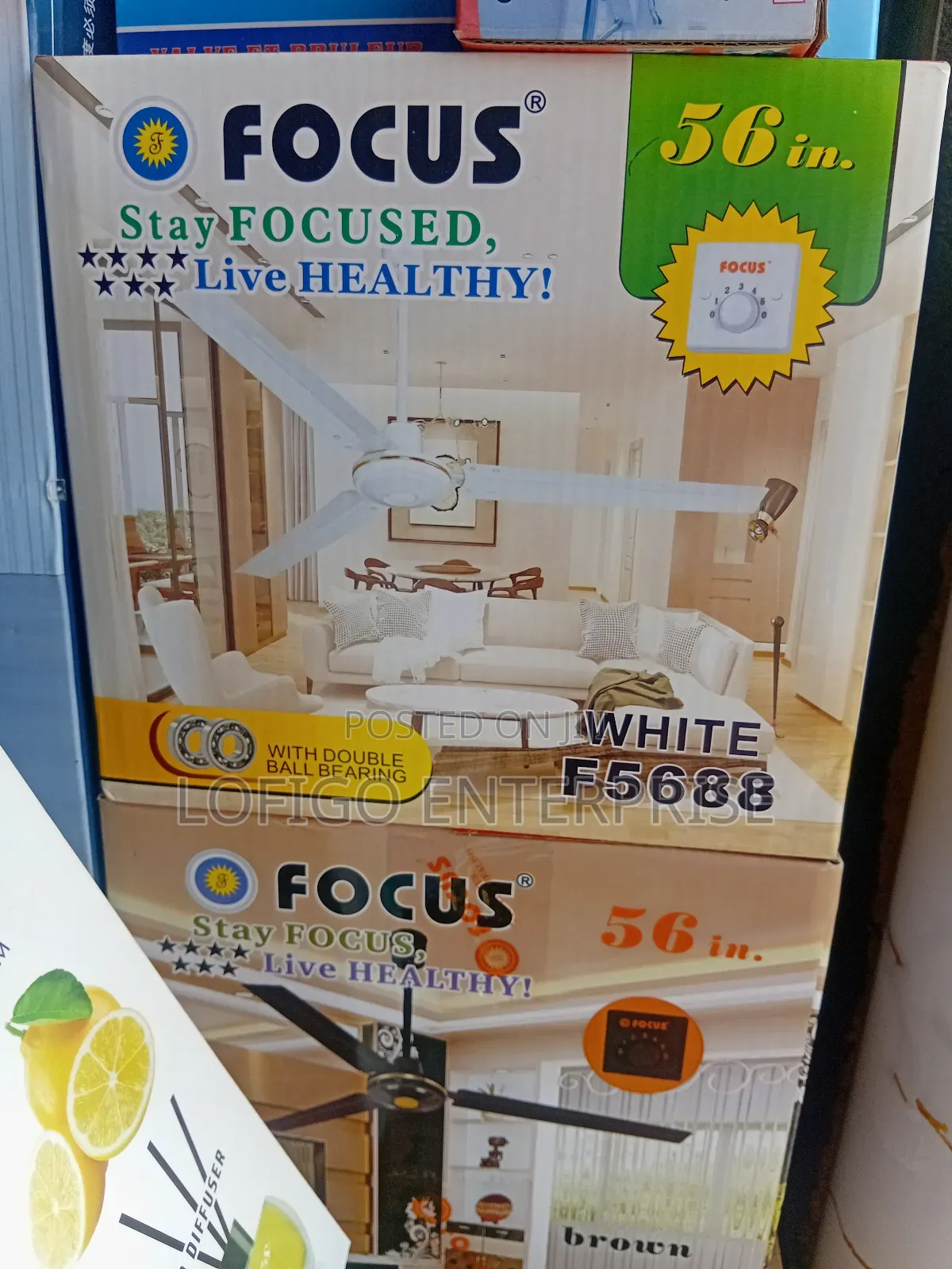 🌬 Focus Ceiling Fan for Sale – Lofigo Enterprise