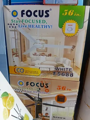 🌬 Focus Ceiling Fan for Sale – Lofigo Enterprise