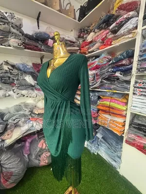 Elegant Ladies Beautiful Dress