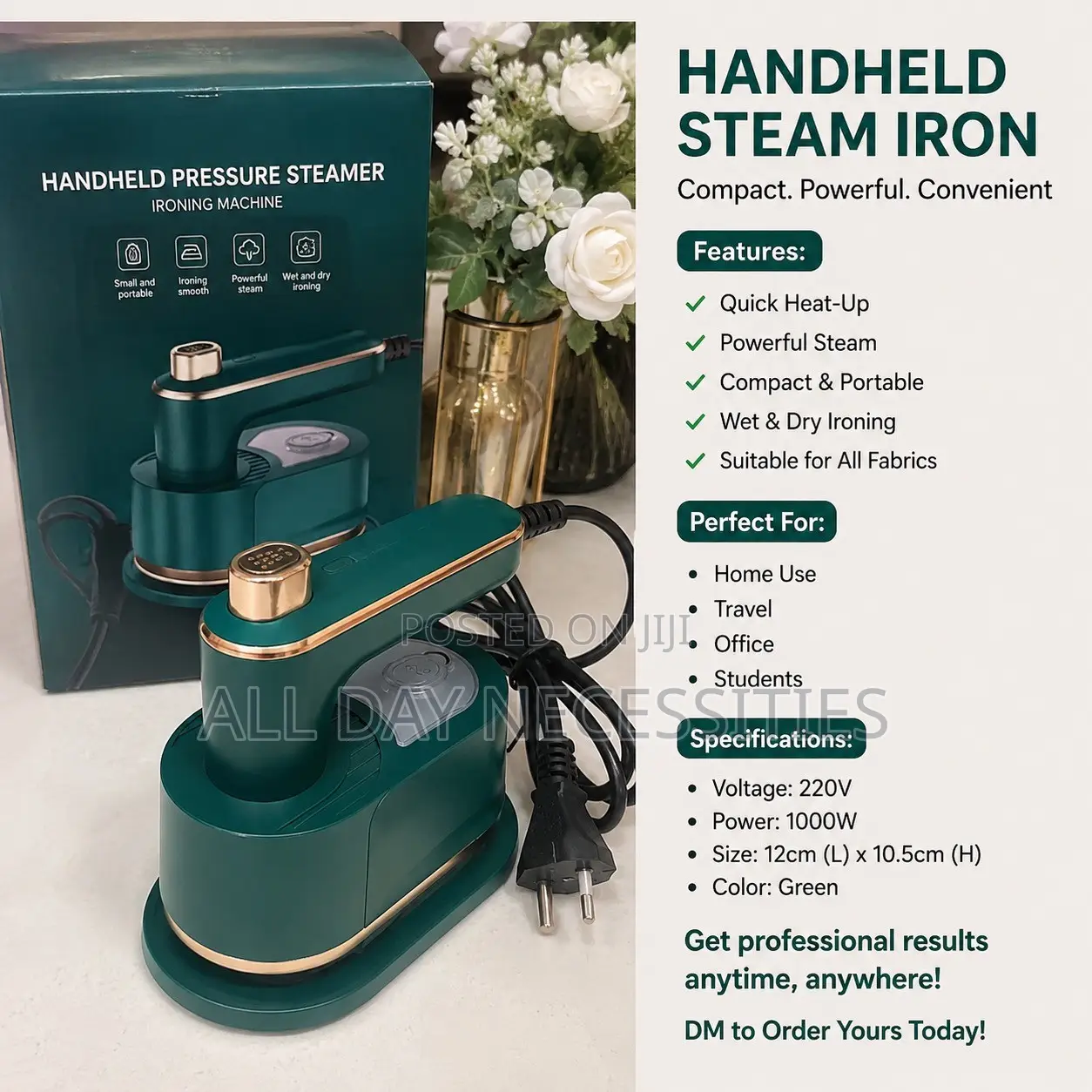 Hand Held Steam Iron