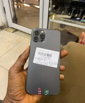 New Apple iPhone 12 Pro Max 256 GB Silver