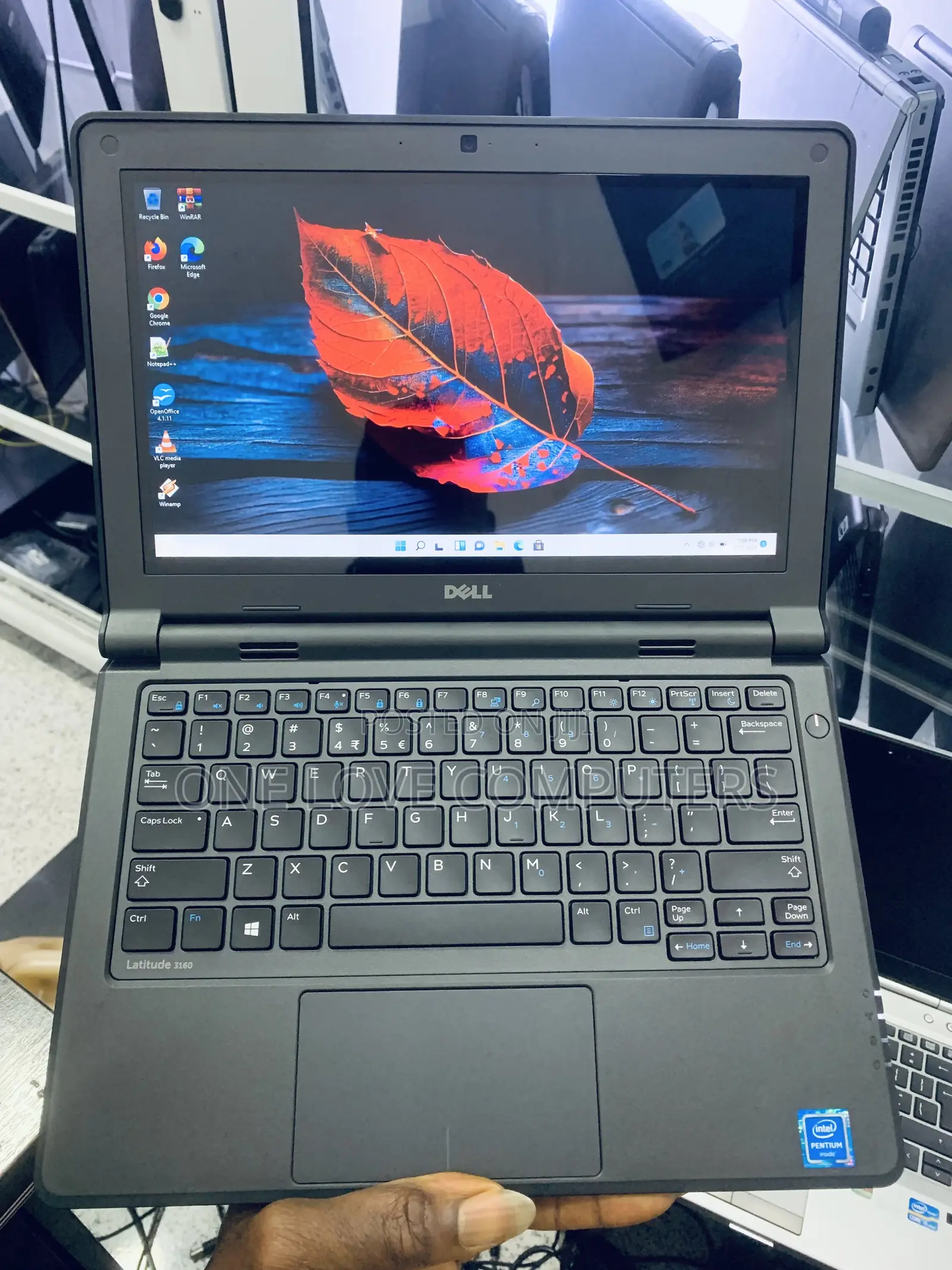 Laptop Dell Latitude 3180 4GB Intel Pentium SSD 128GB