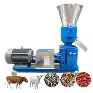 Palletizer Machine
