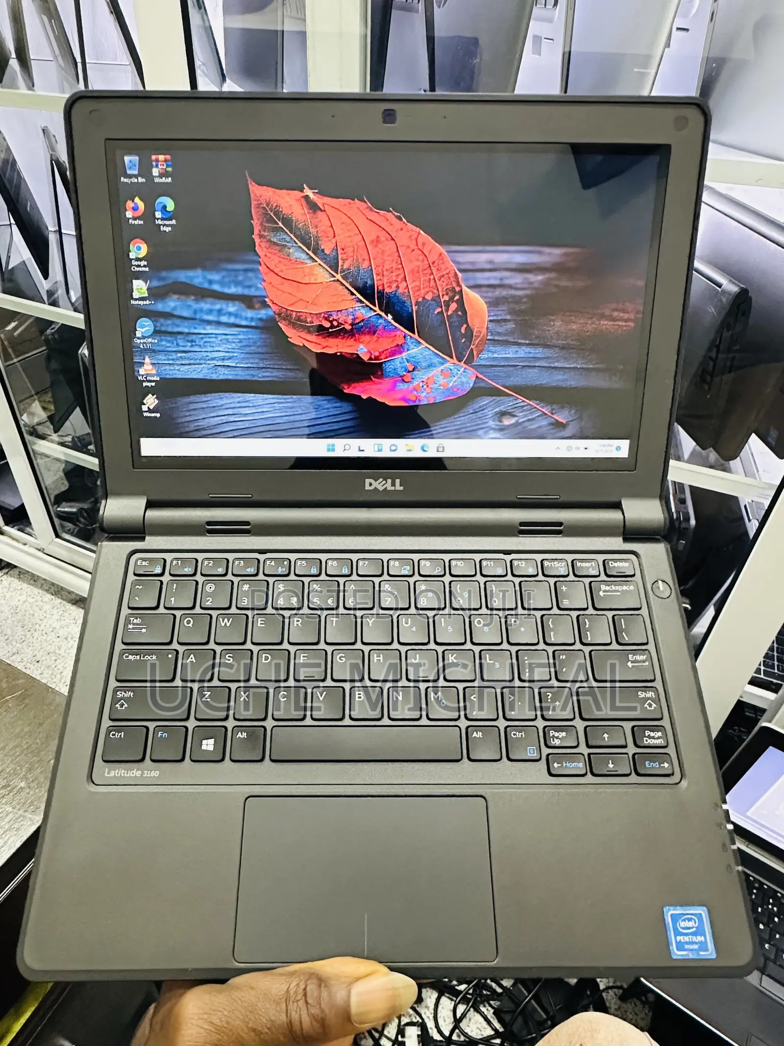 Laptop Dell Latitude 3180 4GB Intel Pentium SSD 128GB