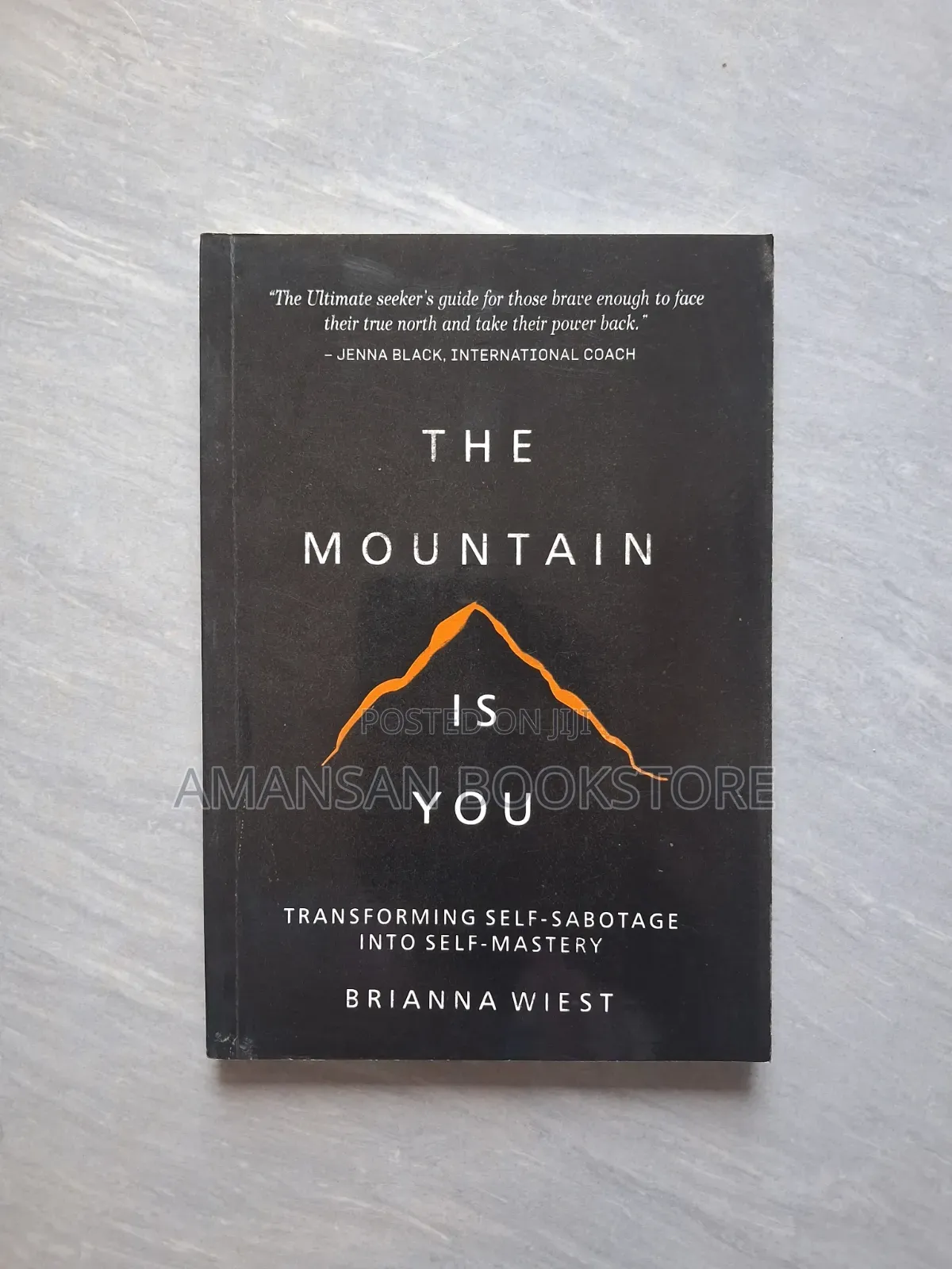 The Mountain Is You