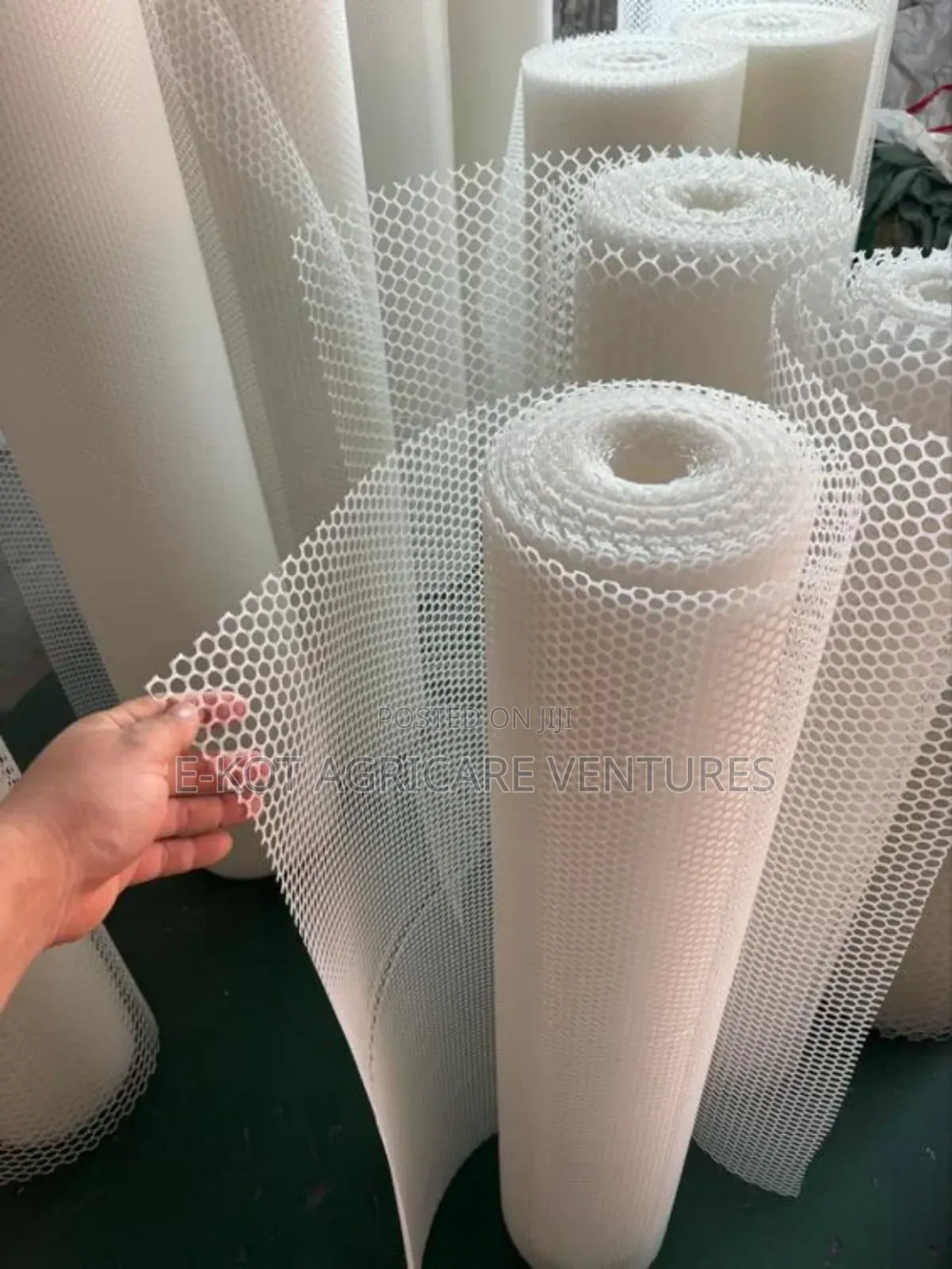 Plastic Mesh for Poultry/ Fence