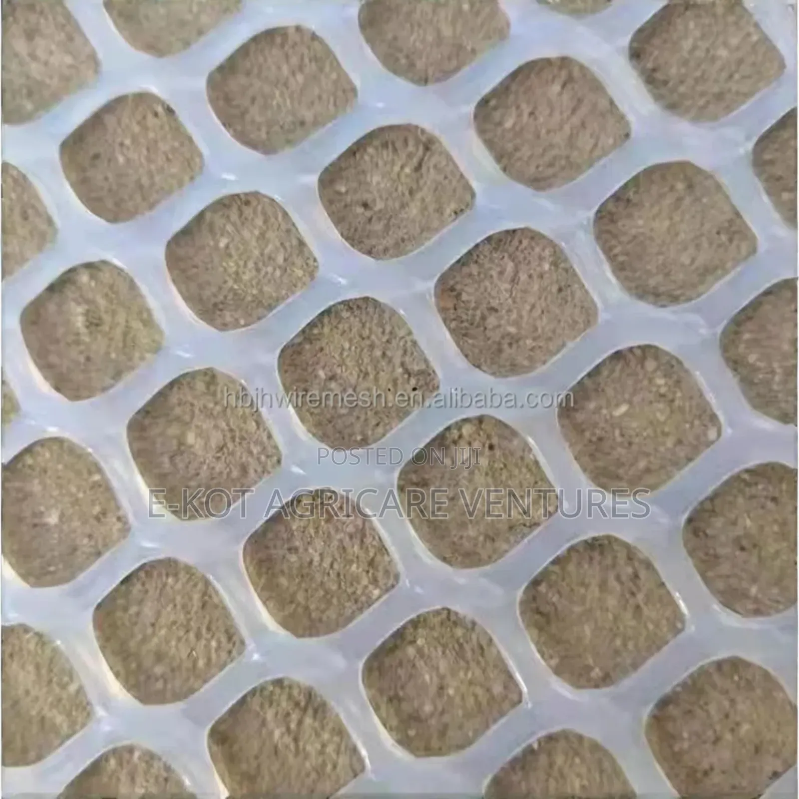 Plastic Mesh for Poultry/ Fence
