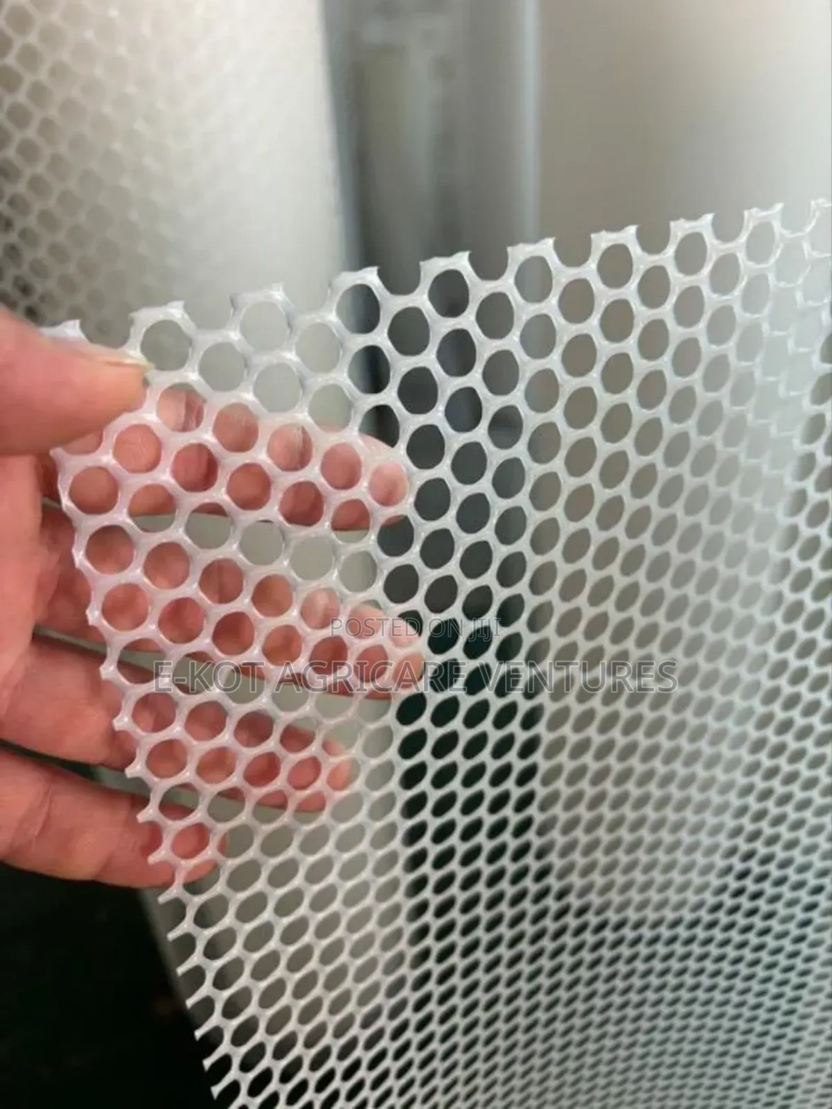 Plastic Mesh for Poultry/ Fence