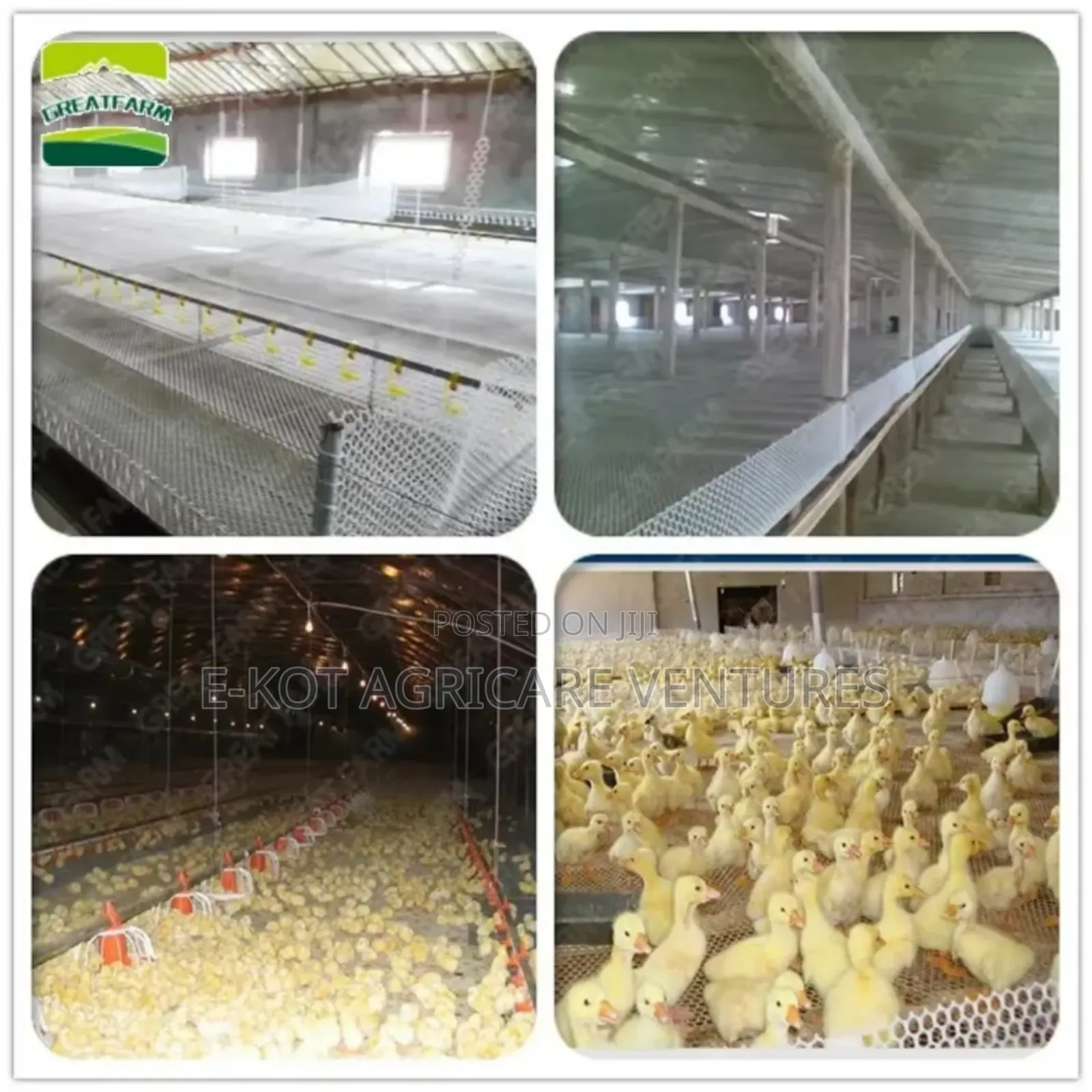 Plastic Mesh for Poultry/ Fence