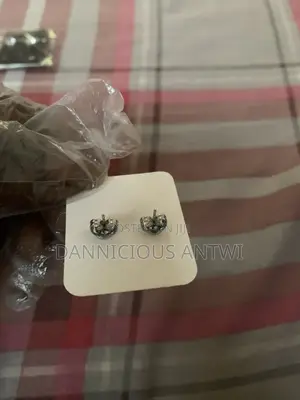 Magnetic Earrings Just Like Actual Piercings
