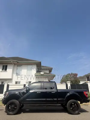 Ford F-150 Platinum 2022 Black
