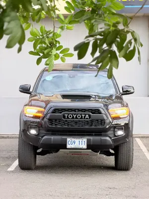 Toyota Tacoma 2023 Black