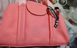 Songmont Mini Drippy ,Miu Miu Wander ,Lv Neverful Tote,gucci Tote Mk