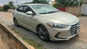 Hyundai Elantra 2017 Brown