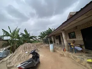 Motorcycle 2025 Brown
