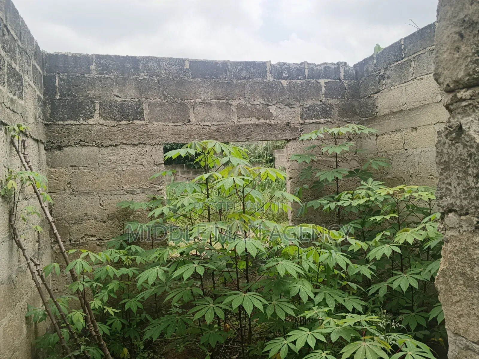 12bdrm House in Ejisu-Juaben Municipal for sale