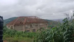 Roof Construction and Carpentry
