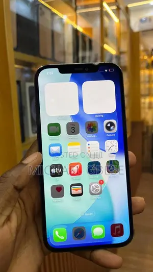 Apple iPhone 12 Pro Max 256 GB Black
