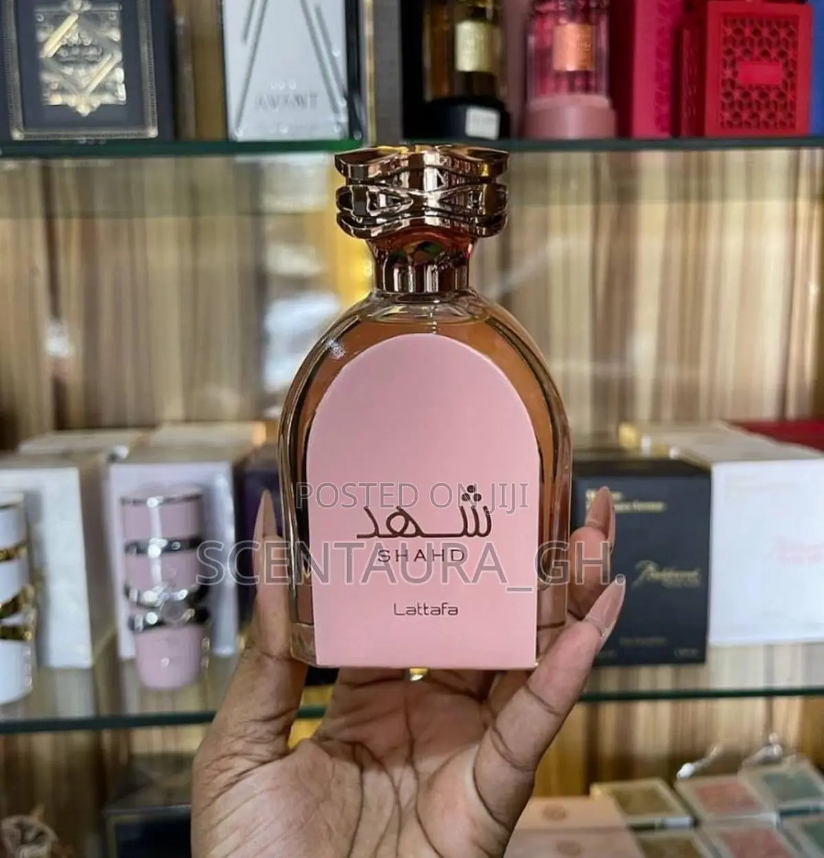 Shahd Lattafa