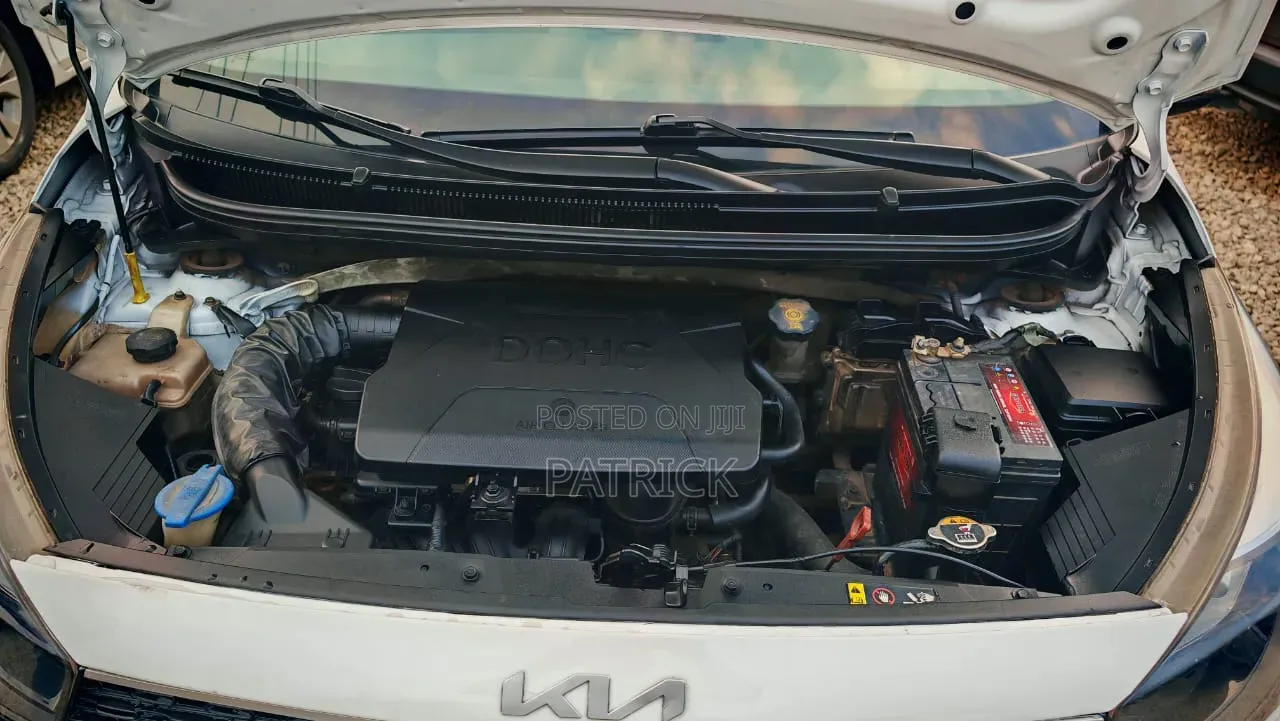 Kia Picanto 2023 White