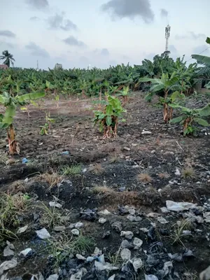 A. 1 Acres Land at Achimota Papaye