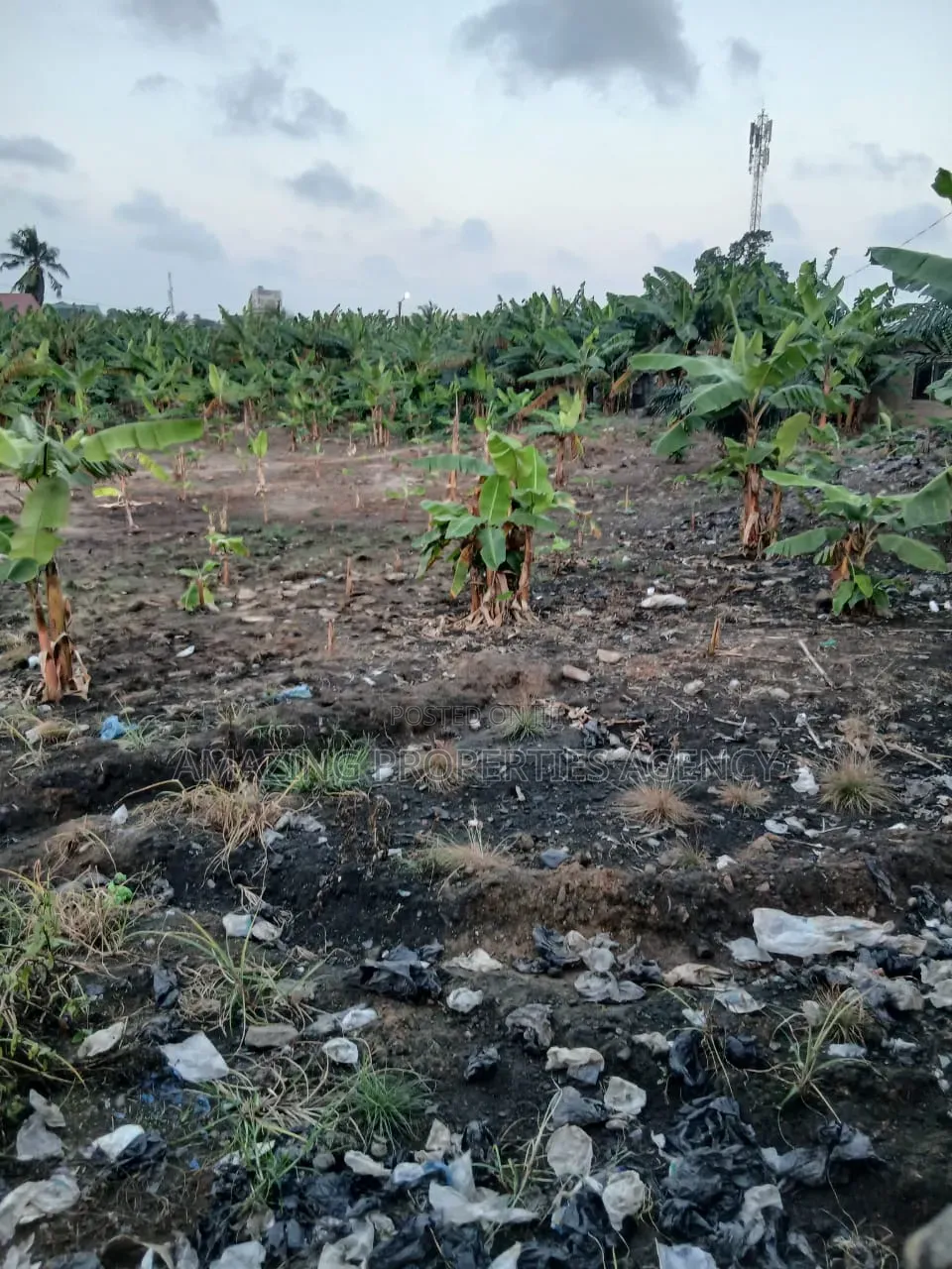 A. 1 Acres Land at Achimota Papaye