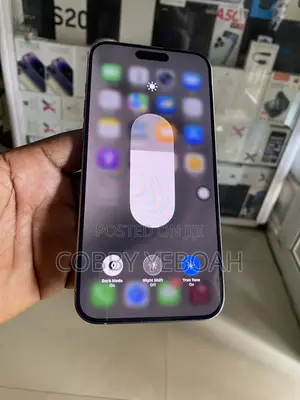 Apple iPhone 15 Pro Max 256 GB Silver