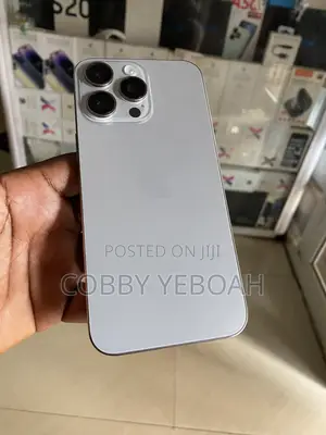Apple iPhone 15 Pro Max 256 GB Silver