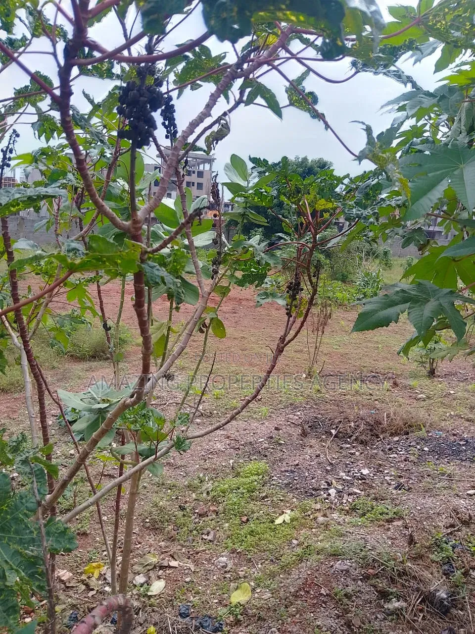 Two Acres Land at Circle Main Road Around Vodafone Office