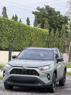 Toyota RAV4 XLE AWD 2020 Gray