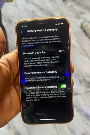 Apple iPhone 17 Pro Max 256 GB Orange