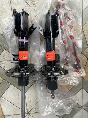 Ford Edge 2015,2016,2017,2018,2019 Front Shocks Brand New