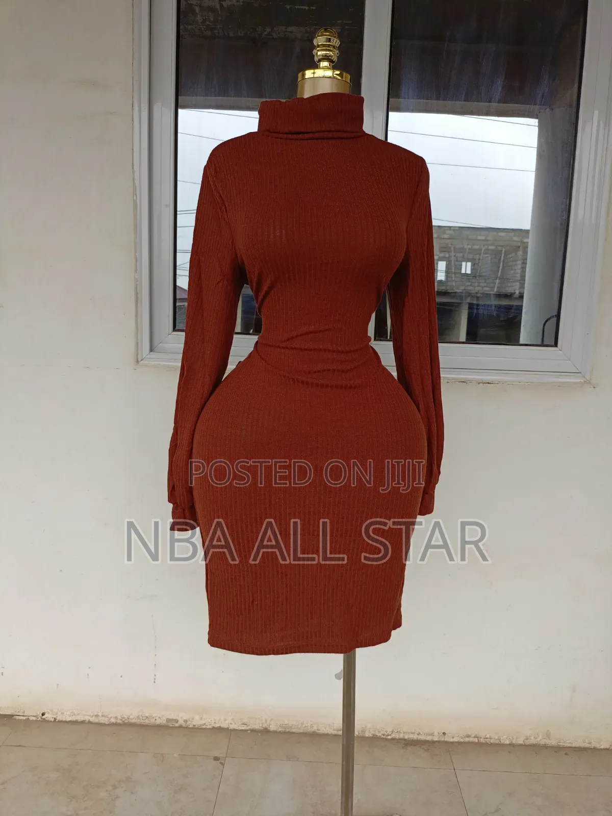 Lady's Dress