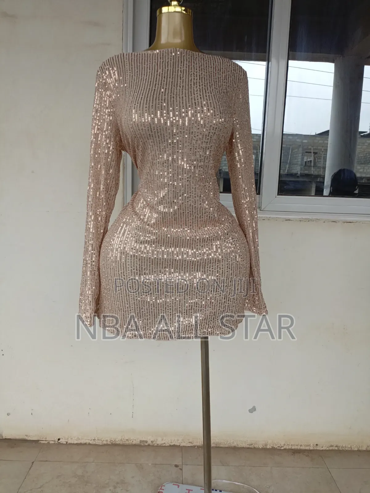 Lady's Dress
