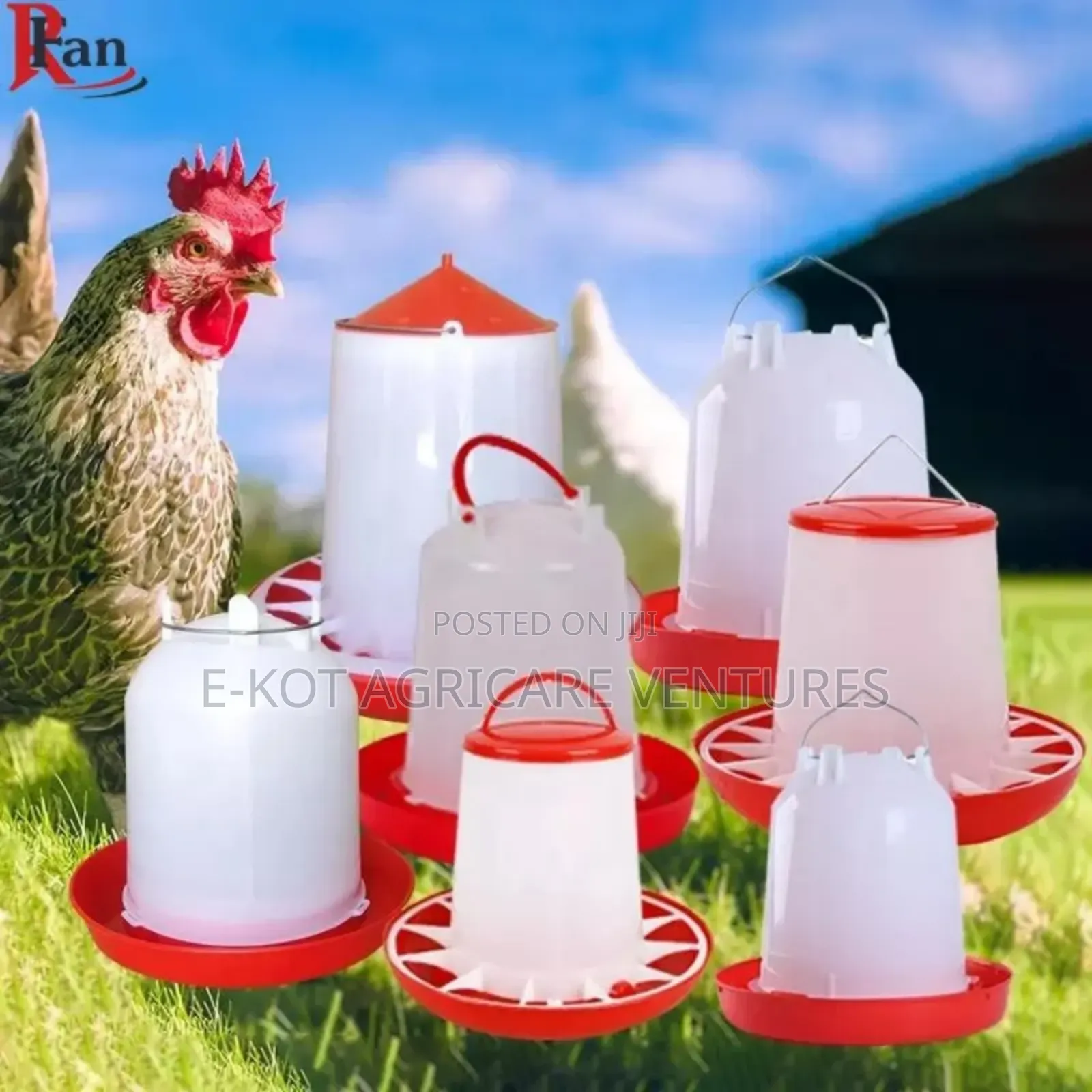 Plastic Poultry Feeders