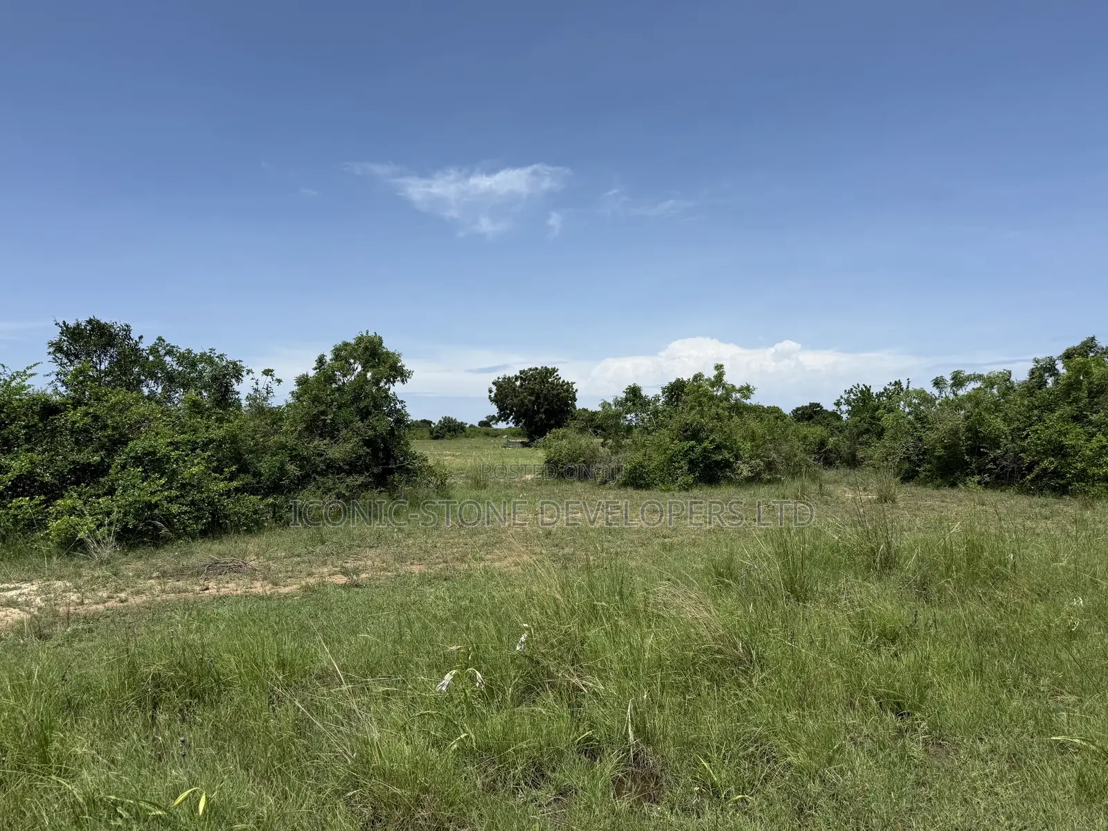 Acres of Roadside Land at Ada - Sege