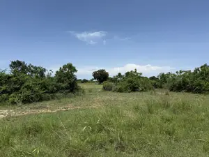 Acres of Roadside Land at Ada - Sege