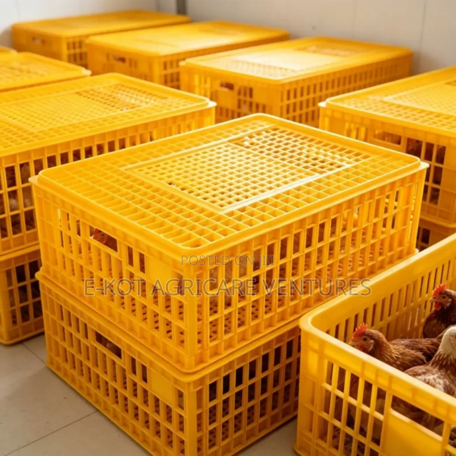 Transporting Cage