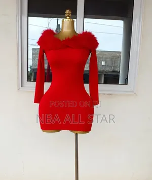 Lady's Dress